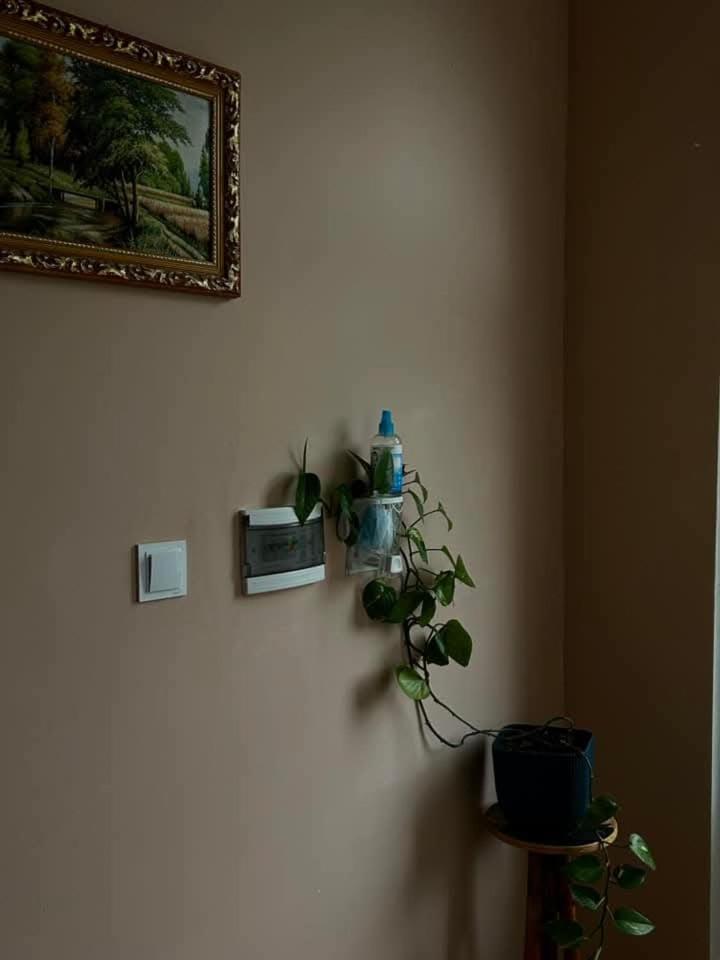 Mountain Heart Bed and Breakfast Kazbegi Εξωτερικό φωτογραφία