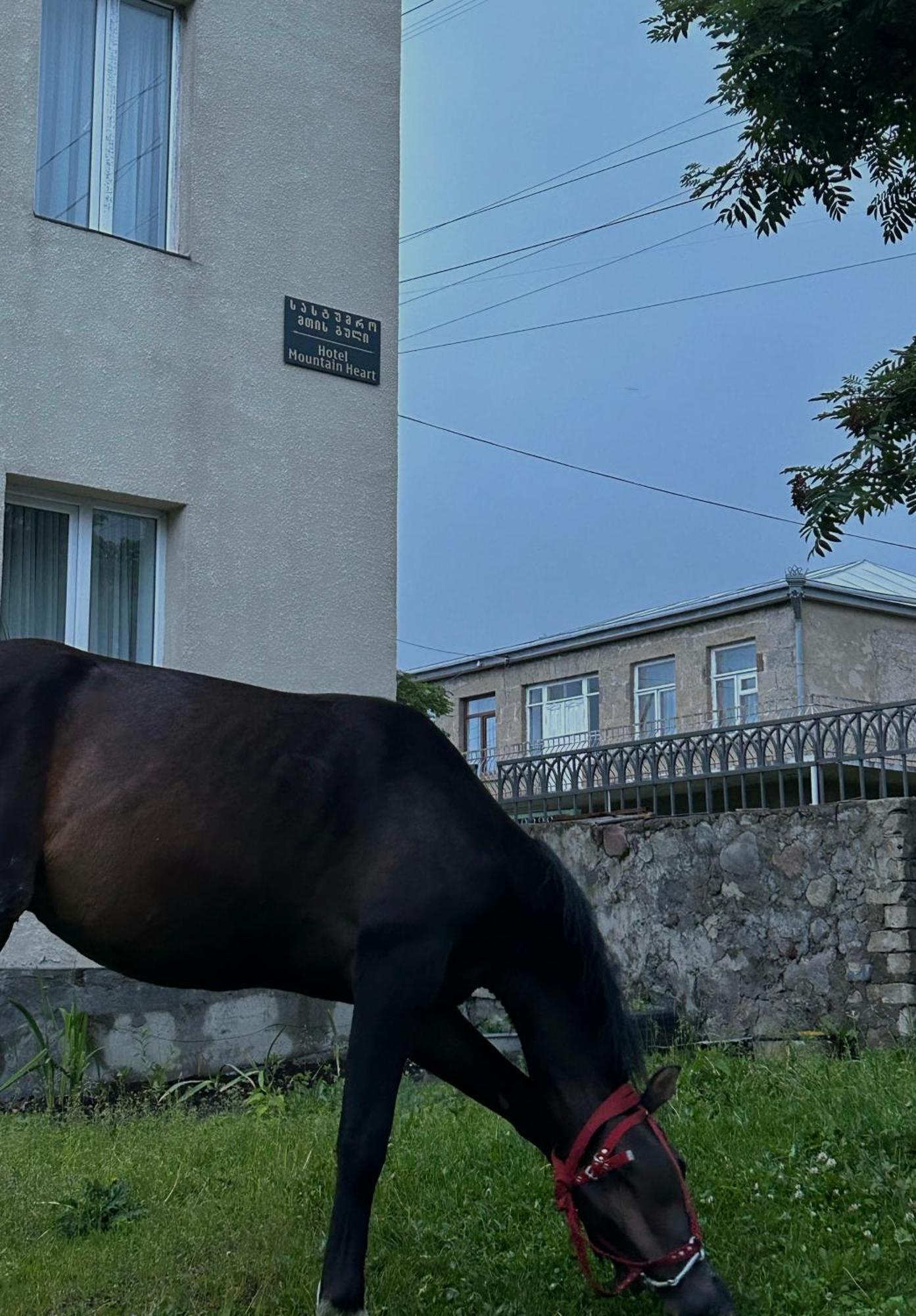 Mountain Heart Bed and Breakfast Kazbegi Εξωτερικό φωτογραφία